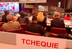 Červený kříž spolu s vládami o humanitární situaci ve světě