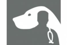 Dog for Doc: Psím čenichem proti pandemii